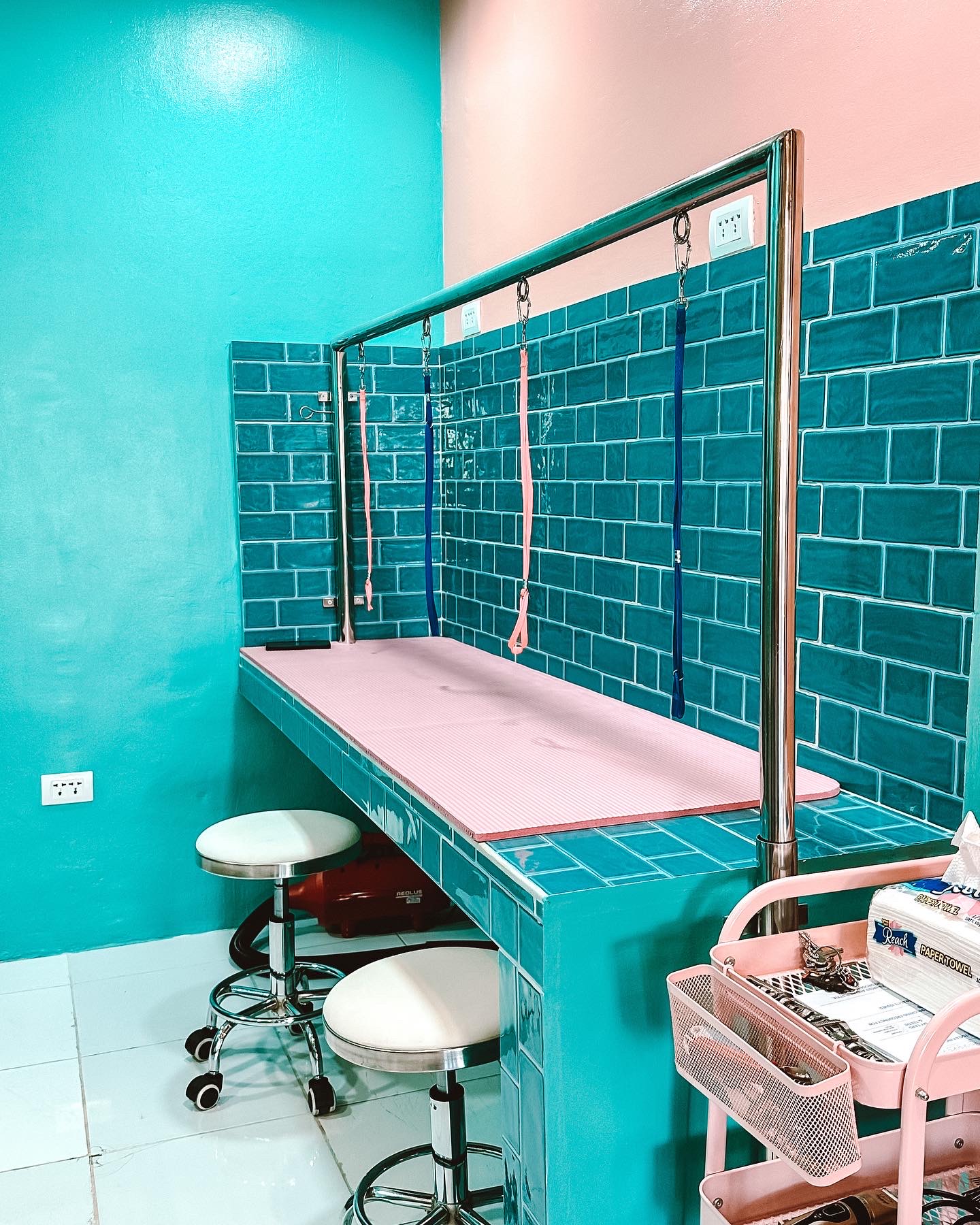 Woof & Wag Pet Grooming in Betterliving, Paranaque Our premium pet