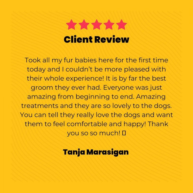 Woof & Wag Pet Grooming in Betterliving, Paranaque Our premium pet