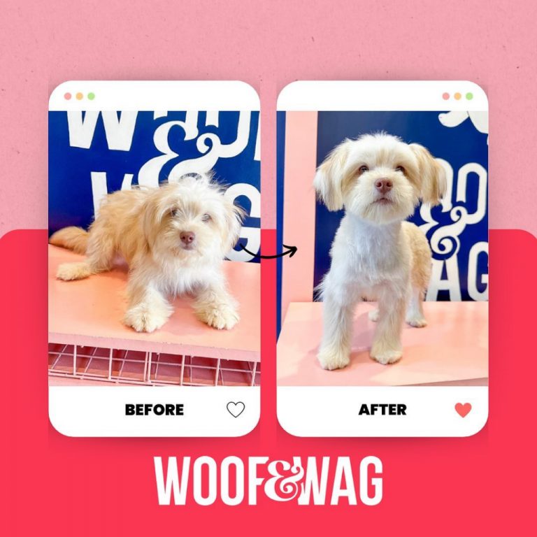 Woof & Wag Pet Grooming in Betterliving, Paranaque Our premium pet