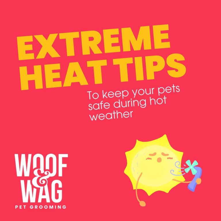 Woof & Wag Pet Grooming in Betterliving, Paranaque Our premium pet