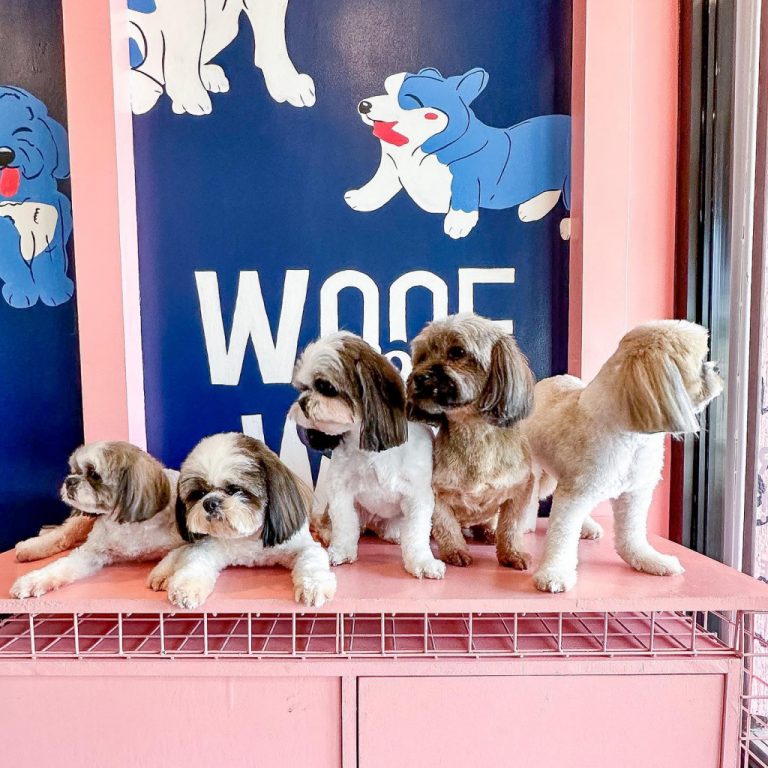 Woof & Wag Pet Grooming in Betterliving, Paranaque Our premium pet