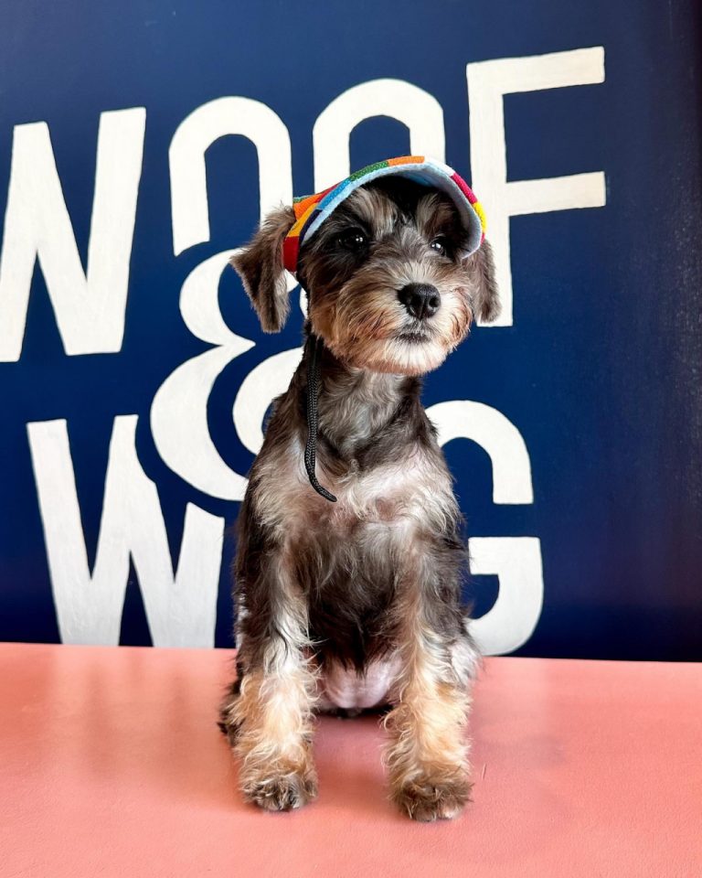 Woof & Wag Pet Grooming in Betterliving, Paranaque Our premium pet